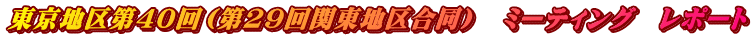 東京地区第４０回（第2９回関東地区合同）　ミーティング　レポート